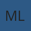 Logo Meir Logistic