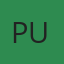 Pupe