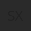 Space X