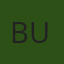 Budi 