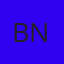 BRYAN GOMES NUNES