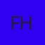 FLAVIO GABRIEL MENEZES HERCULANO