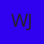 WILSON TEDOLDI JUNIOR