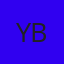 YNGRID CRISTINA VIDAL BRAZ