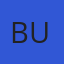 Boostro Women's University logo