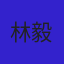 林毅