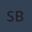 Saraenterprise Business