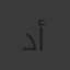 دينا عبدالله أمين
