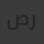 صادق رشدي