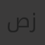 صبحي زغلول