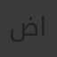 ضياء الحق الحق