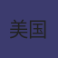 美国队徽