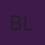 Bryon Lerum