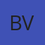 Bachman Auto Glass of Virginia logo