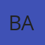 Brasure's Automotive logo