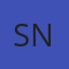 Suwanee Auto Glass Network logo