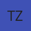 Tint Zone logo