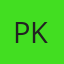 petr kocourek