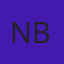 Nafis Bashir