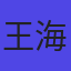 王海龙