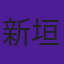 新垣里沙