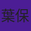 葉保華