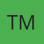 Tint Masters logo