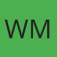 Windshields Mobile logo