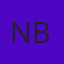 Nafis Bashir