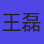 王磊头像