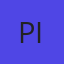 Pilgrim Parking Inc
