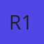Remax 100