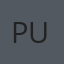 puch31