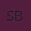 Salomey Business