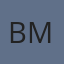 BuddyMedia
