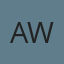 American European Motor Works logo