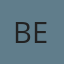 Binswanger Enterpirses logo