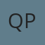 Quality Paint & Body logo