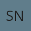 Suwanee Auto Glass Network logo