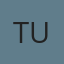 Tint Unlimited logo