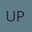 United Performance logo