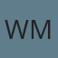 Windshield Magic logo