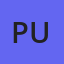 Professional User