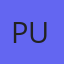 Pupe