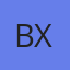 BXRBAGS