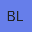 blinknotepapp.com