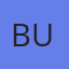 bullmc.net