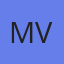 mvincentrealestate.com