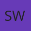 Southern Windshield logo