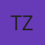 Tint Zone logo